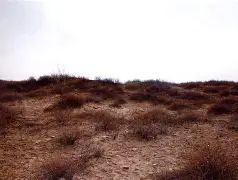 亚博官网 -nillkinu8860套